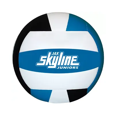 jax skyline volleyball